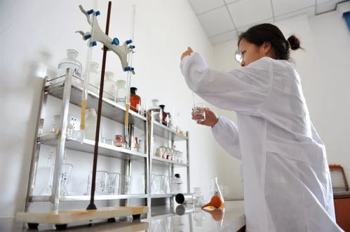 蛻變之路 從復合包裝廢棄物資源化工廠到城市環(huán)境綜合服務運營商——專訪張婷